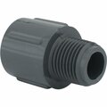 Charlotte Pipe And Foundry 1/2 In. Schedule 80 Male PVC Adapter PVC 08109  0600HA